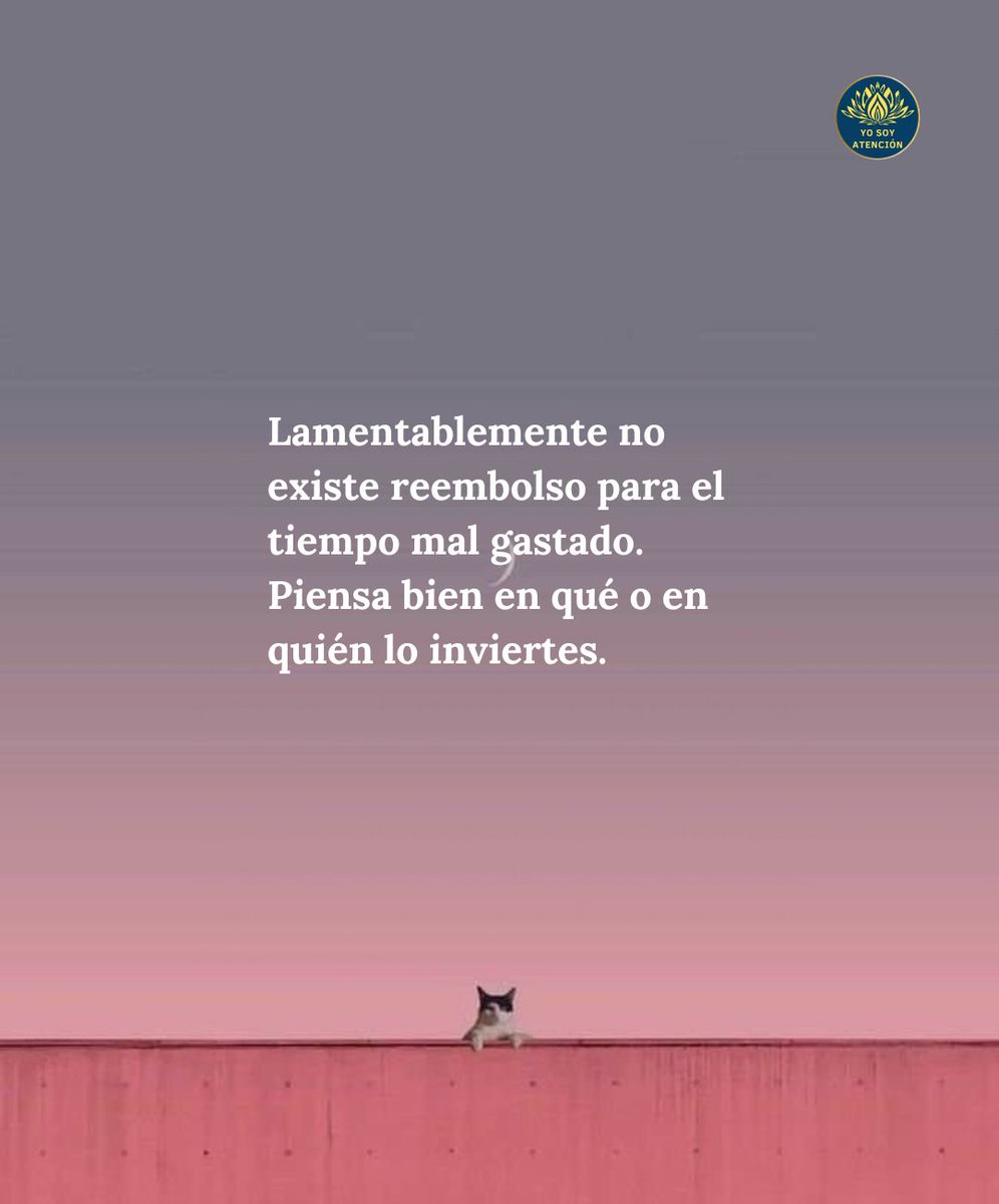 Yo Soy Atención tweet media