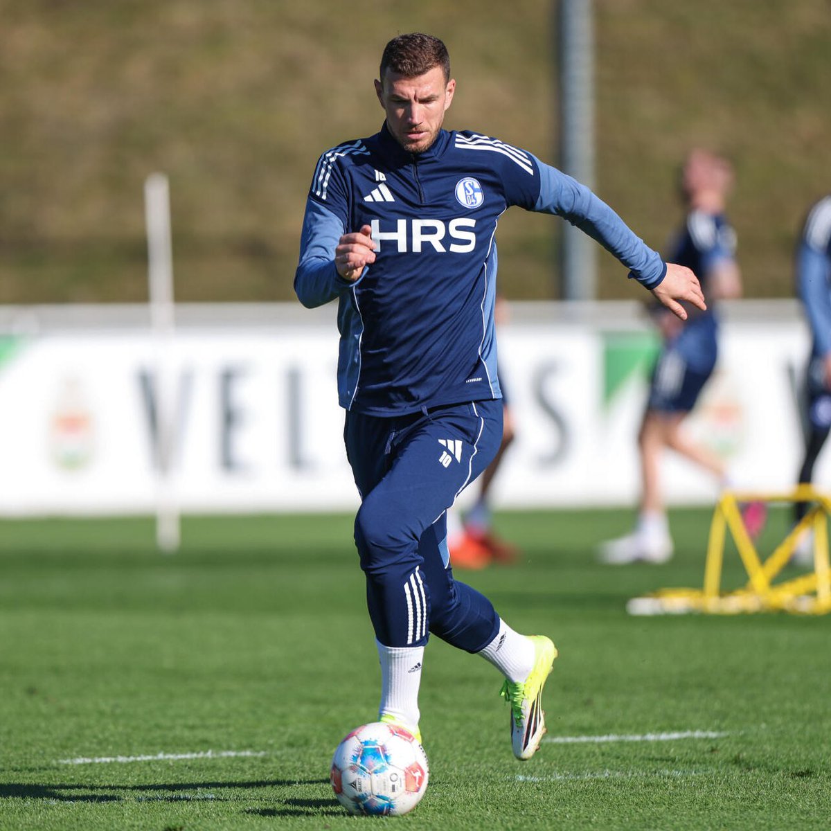 FC Schalke 04 tweet media