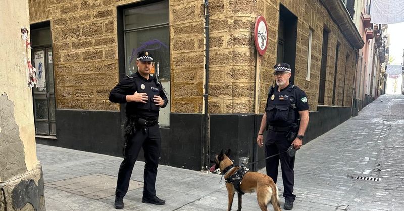 Diario de Cádiz tweet media