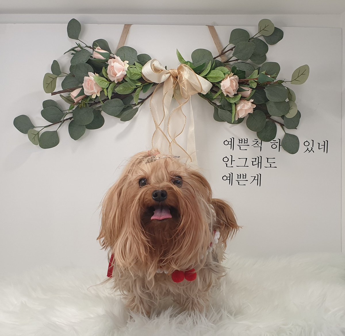나⃢다❄️ tweet media