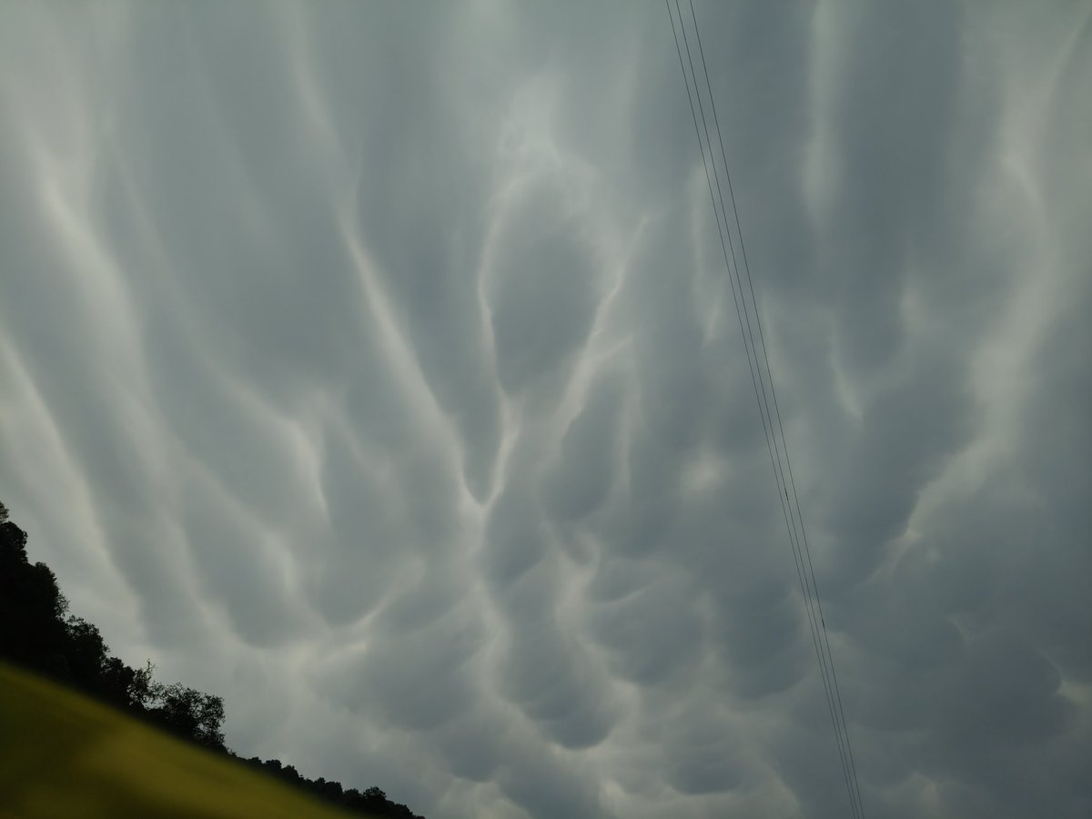 Ila Jindal tweet media