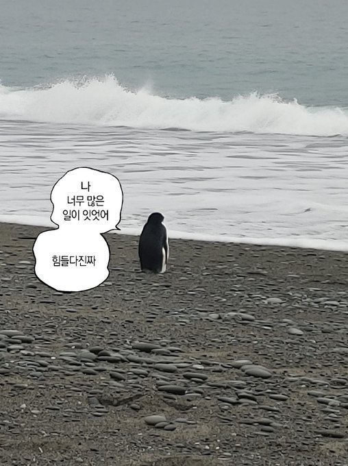 Taelorororo's tweet image. #mood