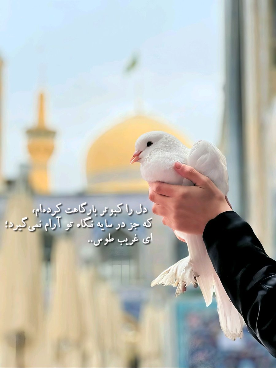 اکرم دخت tweet media