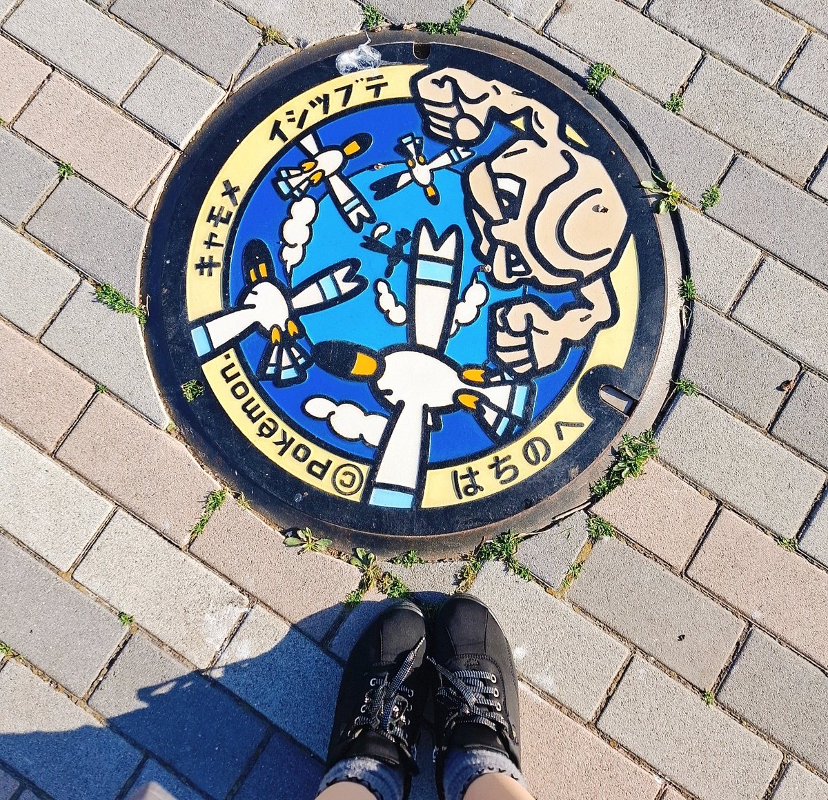 ちゅん😷@ポケモンGO tweet media