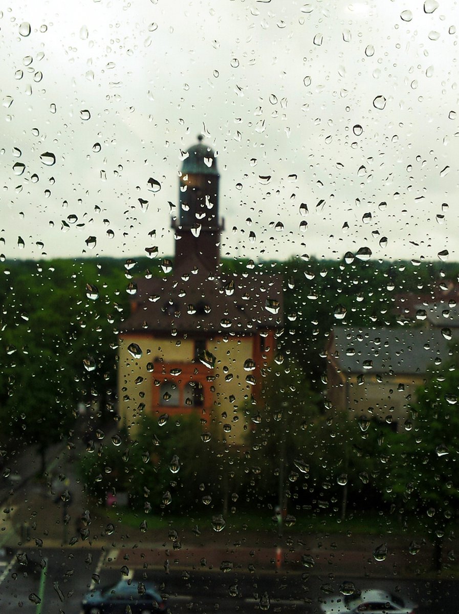 Emir can tweet media