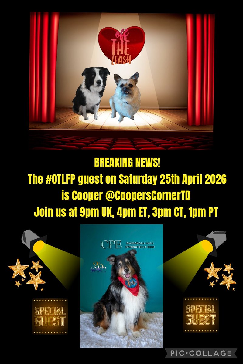 Pixie Tooth 🌈💔 tweet media