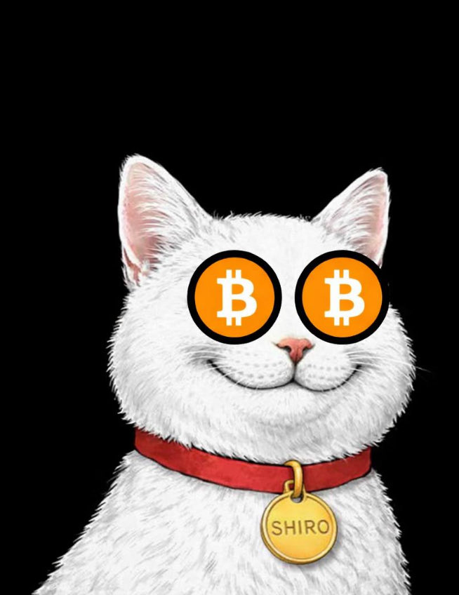DeividCrispim's tweet photo. VAI PERDE NOVAMENTE? ethereum:0xb0ac2b5a73da0e67a8e5489ba922b3f8d582e058 https://t.co/V2SXG4wsjF