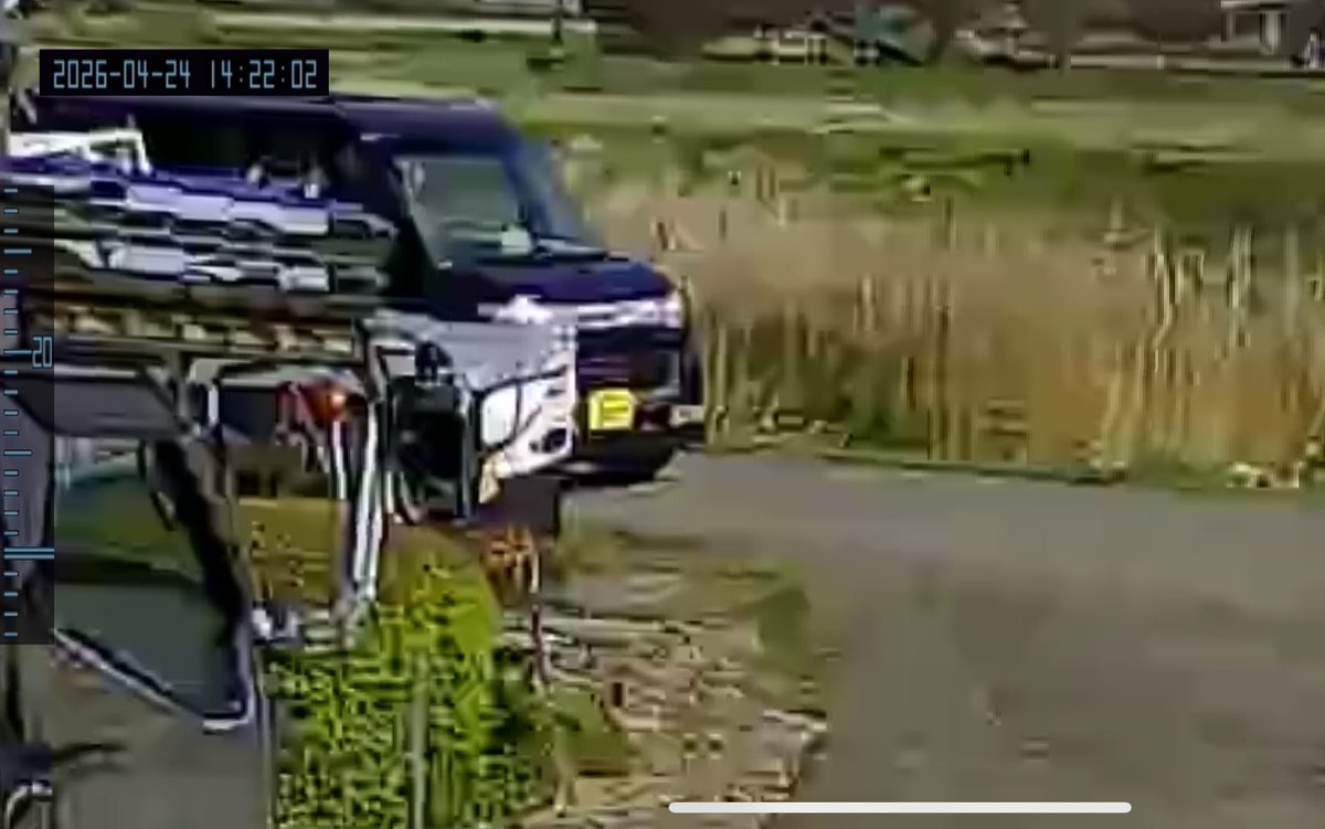 ☆キャンちゃん☆ tweet media