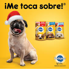 TomyVillalba's tweet photo. @DiarioOle https://t.co/isA02vBwD1