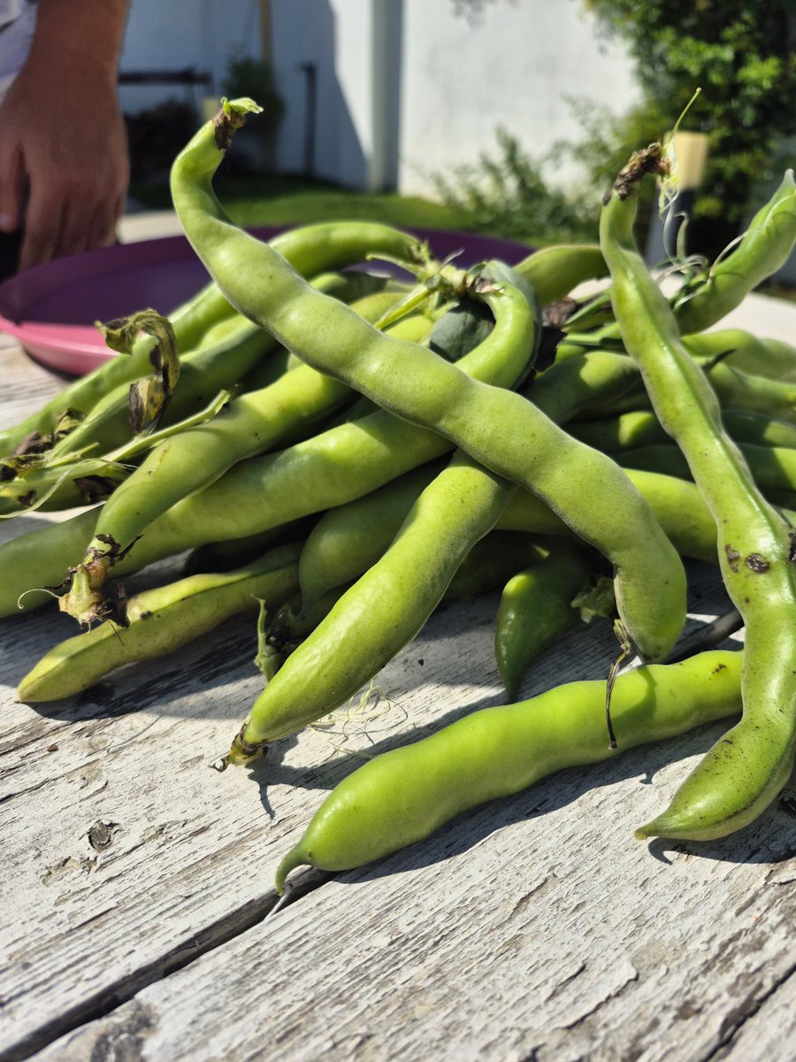 Khazar 🌊🌊 tweet media