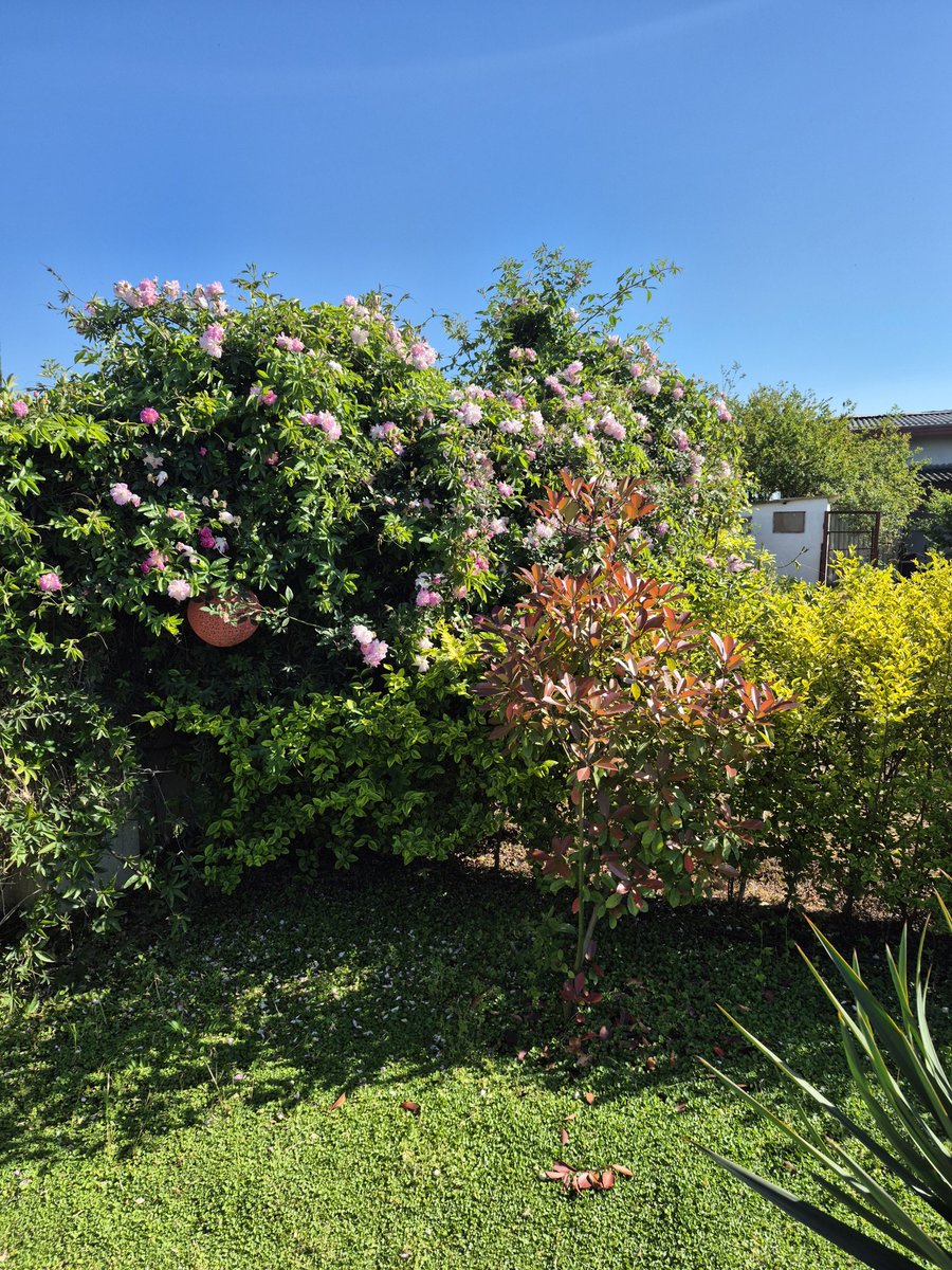 Khazar 🌊🌊 tweet media