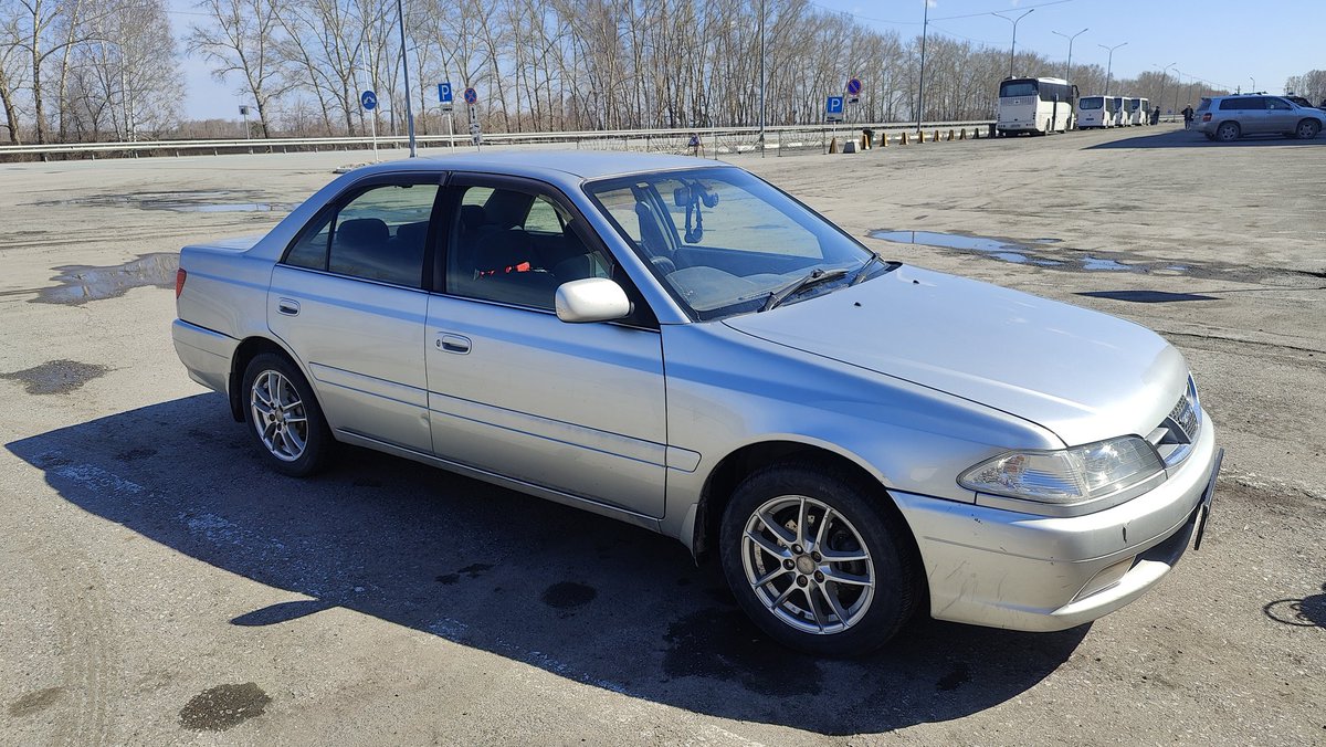 Кот лета tweet media