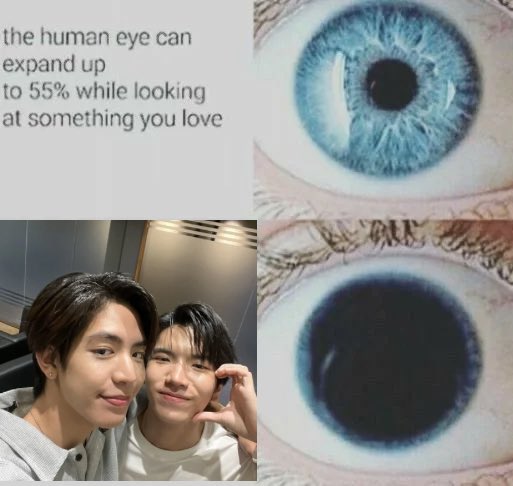 Sia_^^ SeaKeen🍀CLO’VER tweet media