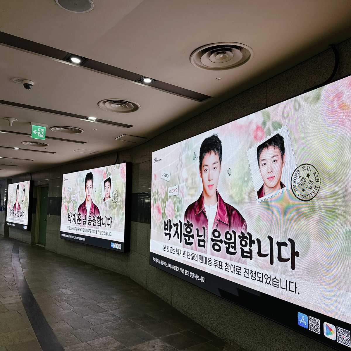 내이름은김메이🫤 tweet media