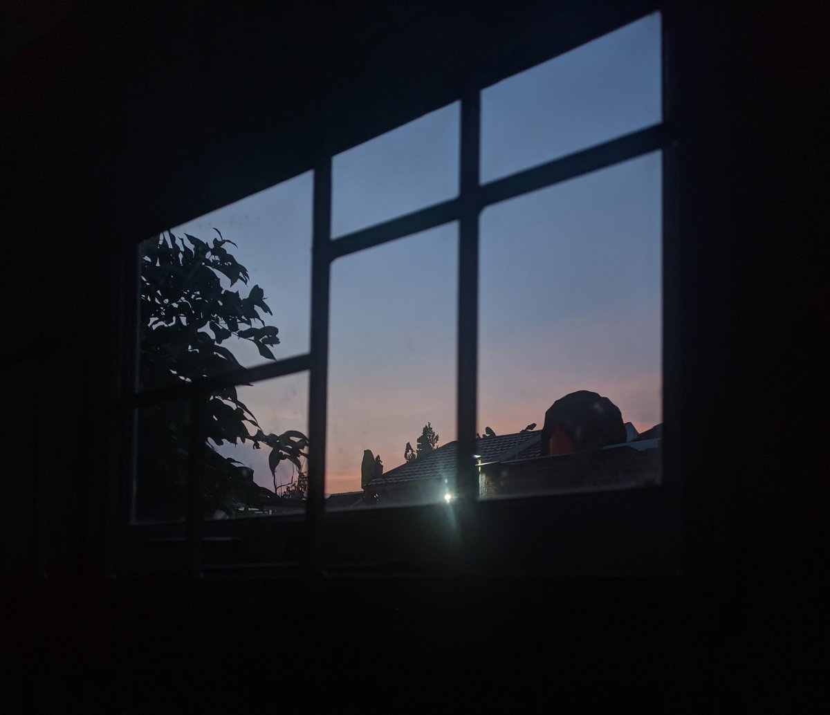 Kaktus🌵 tweet media