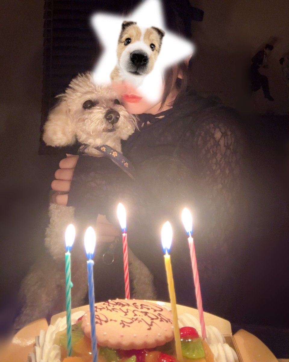 テヅカ ミサキ tweet media