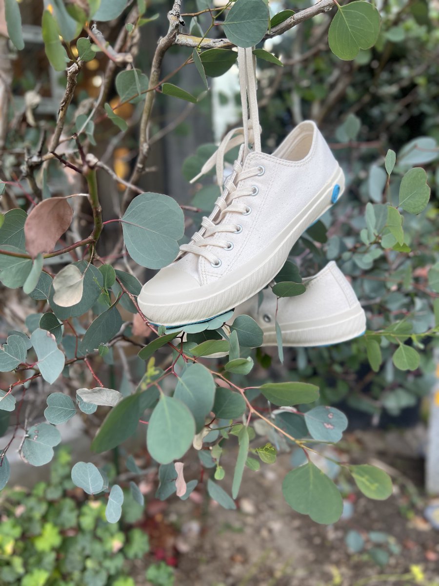 va_va_shop's tweet photo. Restocked "shoes like pottery（LO&amp;HI）" !! - VA-VA online shop   
https://t.co/N6yOKBbWWq

 #moonstar #ムーンスター #shoeslikepottery #シューズライクポタリー #madeinjapan #日本製 #madeinkurume #久留米 #sneaker #kicks #スニーカー #shoes #シューズ #va_va https://t.co/M5HAiatKag