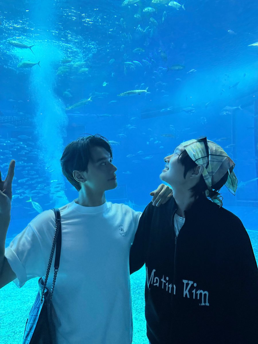 ดูมันดิ DOMUNDI TV tweet media