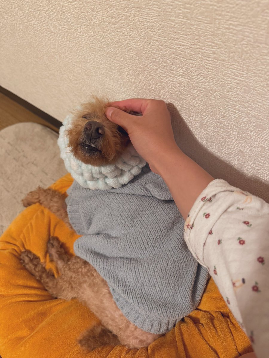 つかれたーーーーー！！！！！
人類のみんな！今日もお疲れ様🙂🌏
先輩達に支えられて日々成長中！！