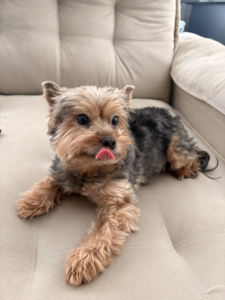 ana⁷ ✶ vai ver o BTS 🪭 tweet media