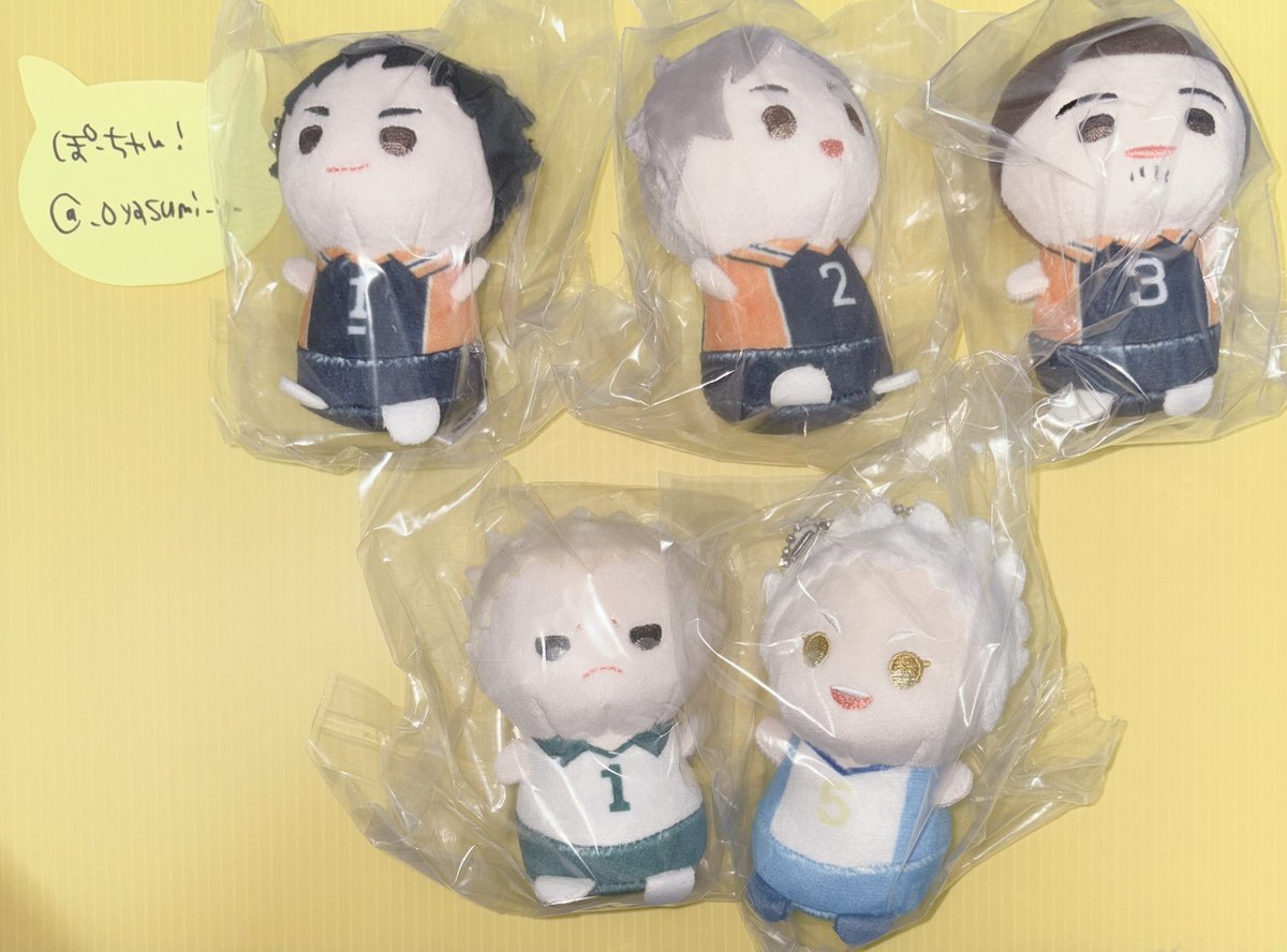 ぽーちゃん！ tweet media