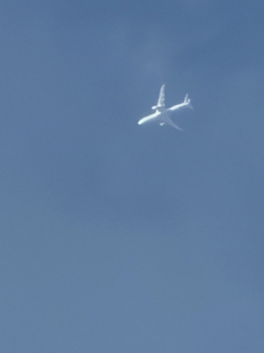 ᵏᵃᶜʰᶦⁿᵍTIKIᵏᵃᶜʰᶦⁿᵍ tweet media