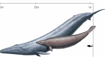 Una hormiga que mira tu post 🐜 tweet media