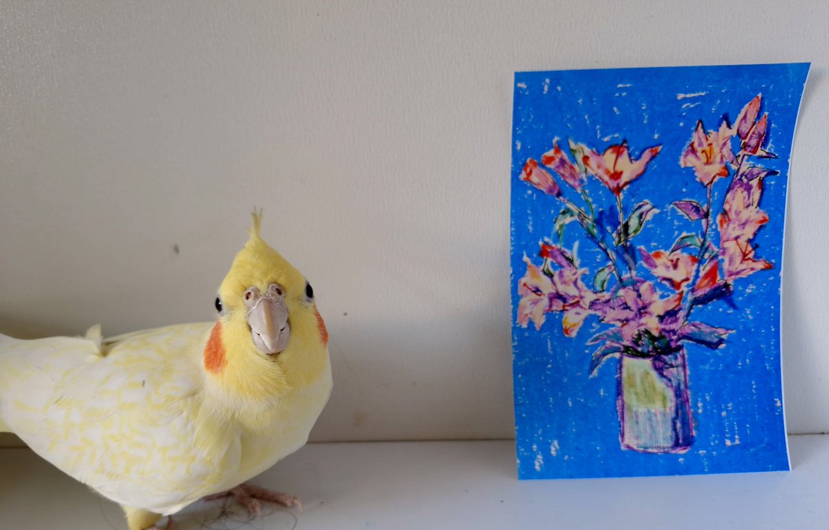 Faats𓅚 tweet media