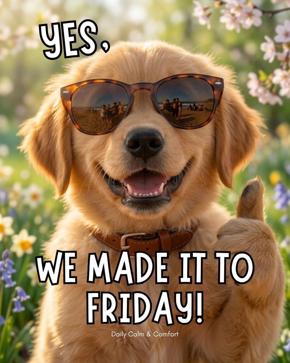 ✭💙𝒞𝒽𝓇𝒾𝓈𝓉𝒾𝓃ℯ💙✭ tweet media