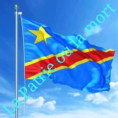 GISARO🇨🇩❤️ tweet media