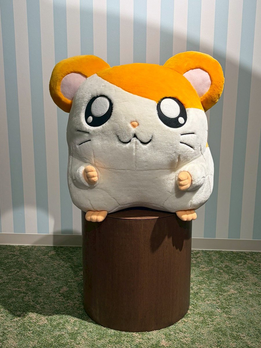 ｵｻﾄｳﾁｬﾝ tweet media