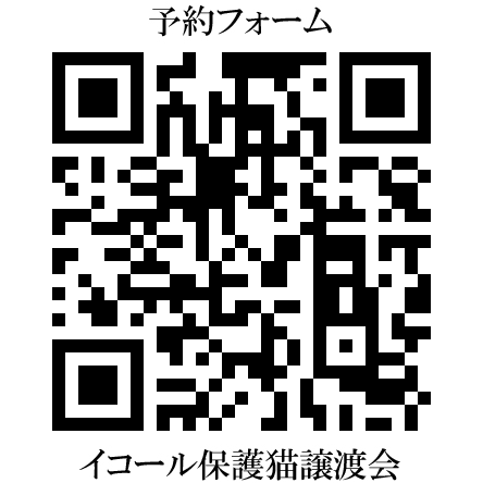 イコール保護猫譲渡会【５/２３（土）１４:００〜１６:００ 市川市 行徳文化ホールＩ＆Ｉ 第１会議室 tweet media