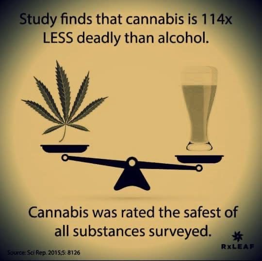 🧬Maxpein🧬 tweet media