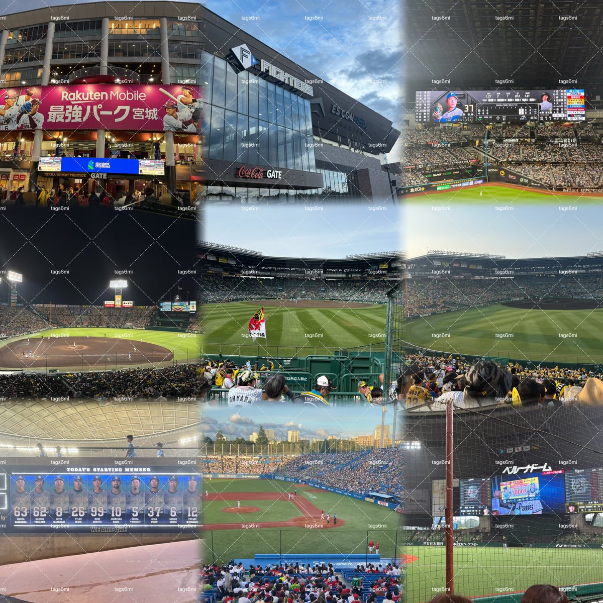 tags6mi's tweet photo. @t 阪神が大好きです🐯♡球場巡りもしています🏟️
 #プロ野球ファンと繋がりたい #Twitter上にいる阪神ファン全員と繋がるのが密かな夢だったりするのでとりあえずこれを見た阪神ファンはRTいいねフォローしていただけると全力でフォローしに行きます #toracoさんと繋がりたい https://t.co/20fVEwGCiX