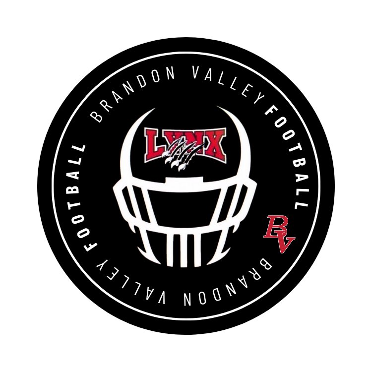 BV Lynx Football tweet media