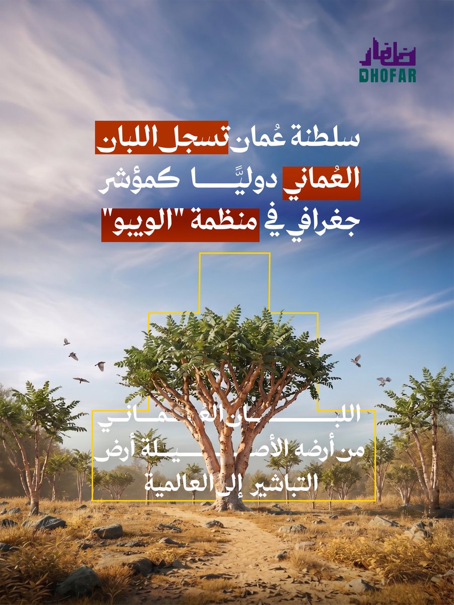 Dhofar_official's tweet photo. خطوة تاريخية تضع "الذهب الأبيض" في مكانه المستحق عالمياً! تسجيل اللبان العُماني كمؤشر جغرافي في منظمة "الويبو" ليس مجرد إجراء قانوني، بل هو صكّ فخر يحمي هويتنا الوطنية ويفتح آفاقاً اقتصادية جديدة لرواد الأعمال والمشاريع العُمانية. https://t.co/PYiSlYU2TN