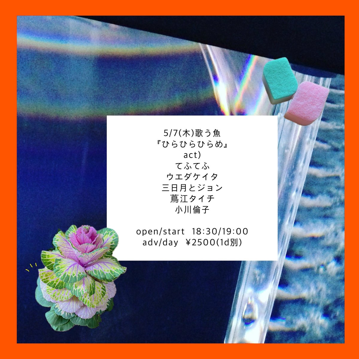 5月のライブ情報、ちょっと変化があったところなどを修正しました！！

5/28(木)のライブも追加になってますのでぜひご確認よろしくお願いします◎

今月の配信ライブは4/27(月)に行う予定です！！

各ライブの取り置き予約もいつでもお待ちしています！！！