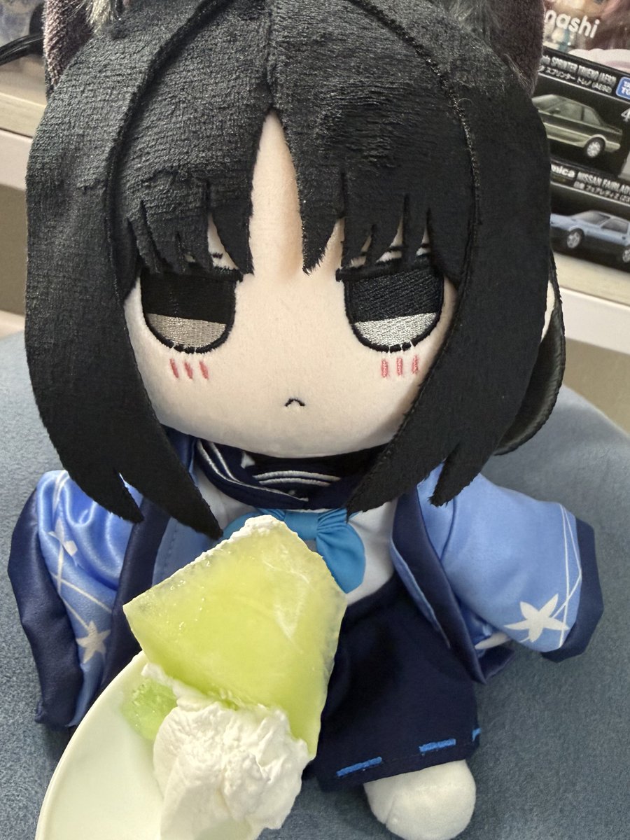 #ブルアカぬいぬい部

🍈