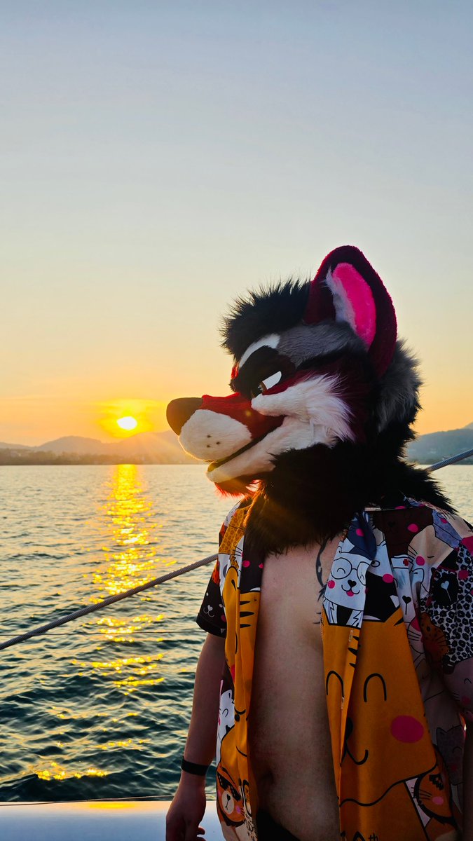 AulderWhitefur's tweet image. You know, even though this dog is not a good swimmer, but I’m great at floating
.
.
.
Cause I’m a “GOOD BOUY”
.
.
🔥😗🤘🎤⬇️

📸: @WashiZashi 

#phuket #FursuitFriday #fridayvibes #sea #yachtlife