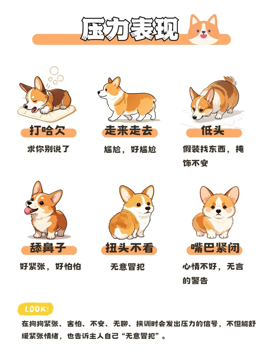 causette tweet media