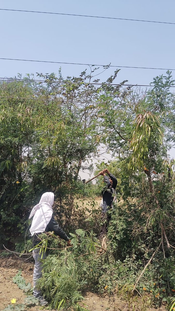 JE(Tech.)11 KV/LT LINE RAJIV BHAVAN MATHURA tweet media