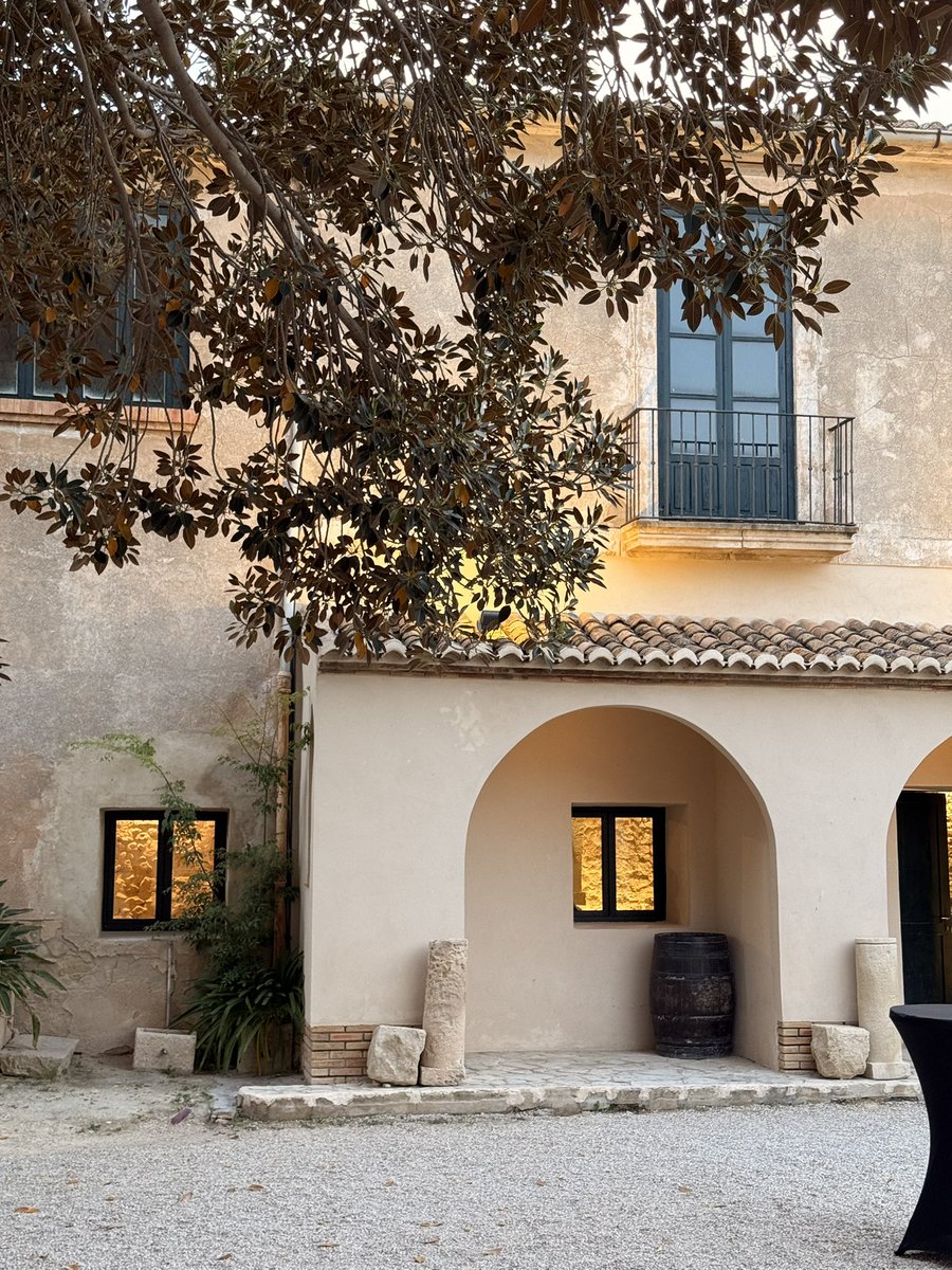 bysergiocrespo's tweet photo. Registro en finca Torre Juana, San Juan, Alicante. https://t.co/P1CZ8EvRUj