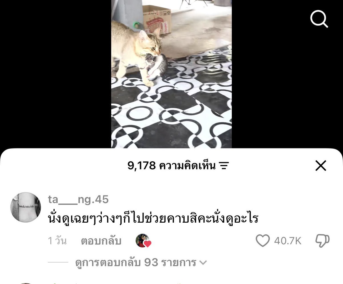 ในคลิปบอกว่านั่งดูแมวคาบลูกมา 2 ชั่วโมงแล้ว ละดูคอมเม้นดิ  5555555555555555