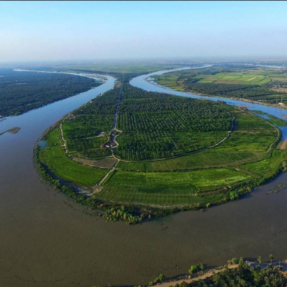 د.سعاد القيسي tweet media