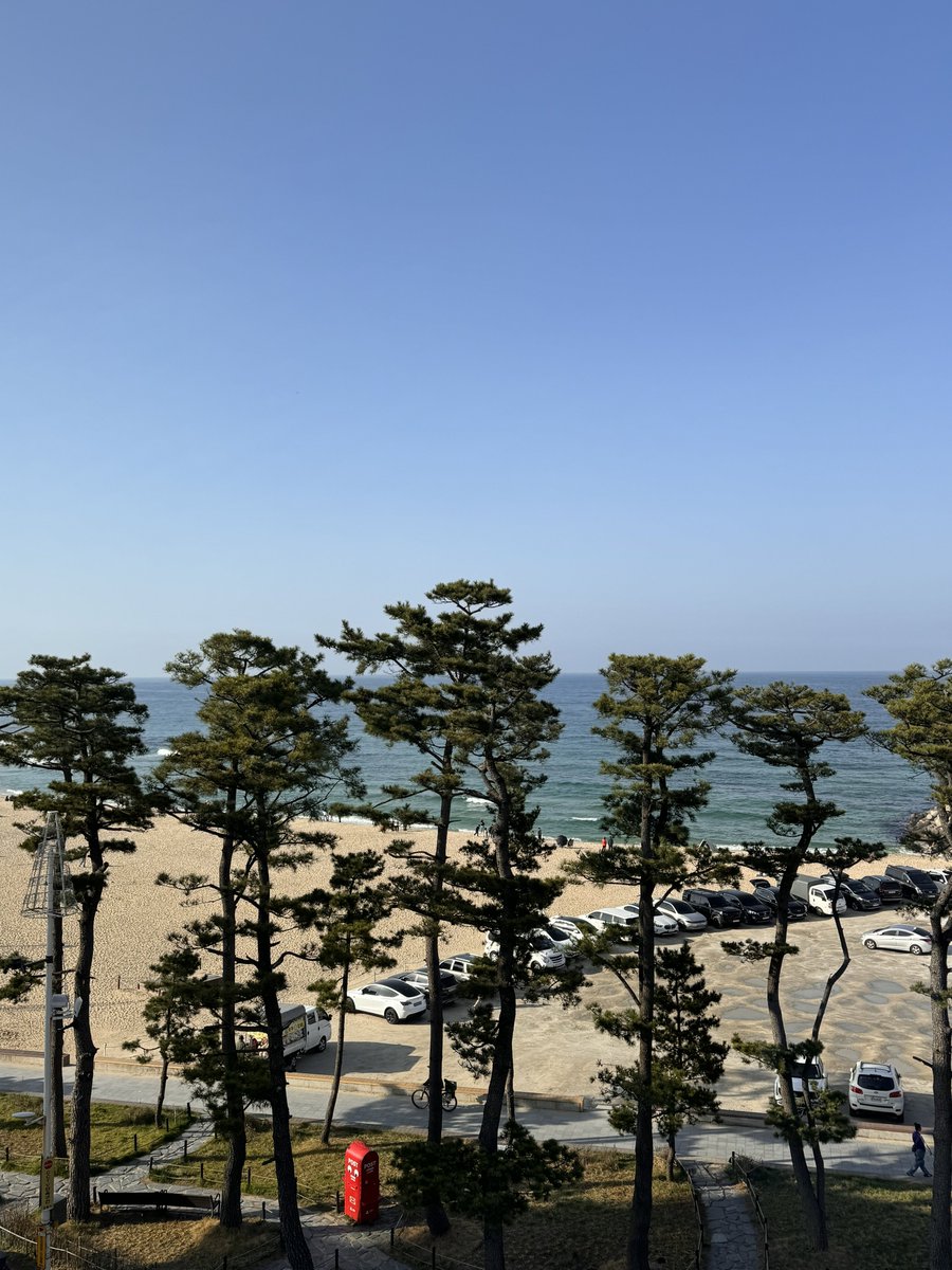 returnmy4ccount's tweet photo. 강릉을 다녀왔었어여 https://t.co/ioTdBajCeO