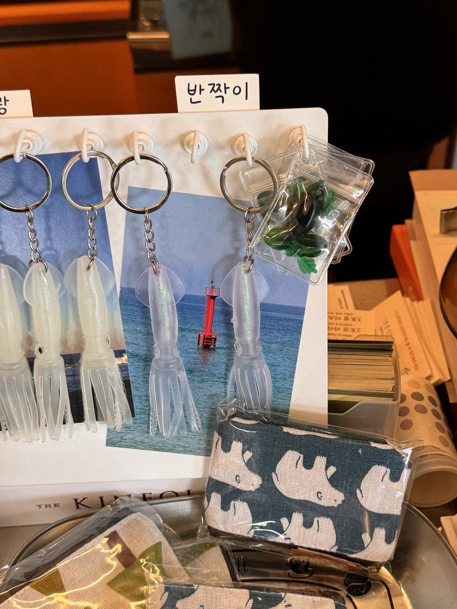 returnmy4ccount's tweet photo. 강릉을 다녀왔었어여 https://t.co/ioTdBajCeO