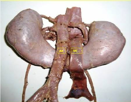 Modern Health tweet media