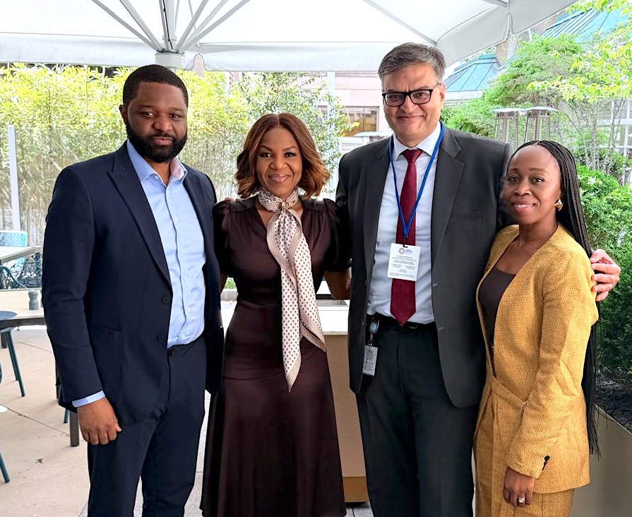 Damilola Ogunbiyi tweet media