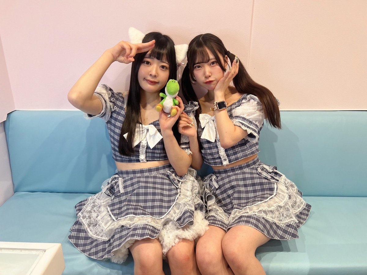 Starry Paradise tweet media