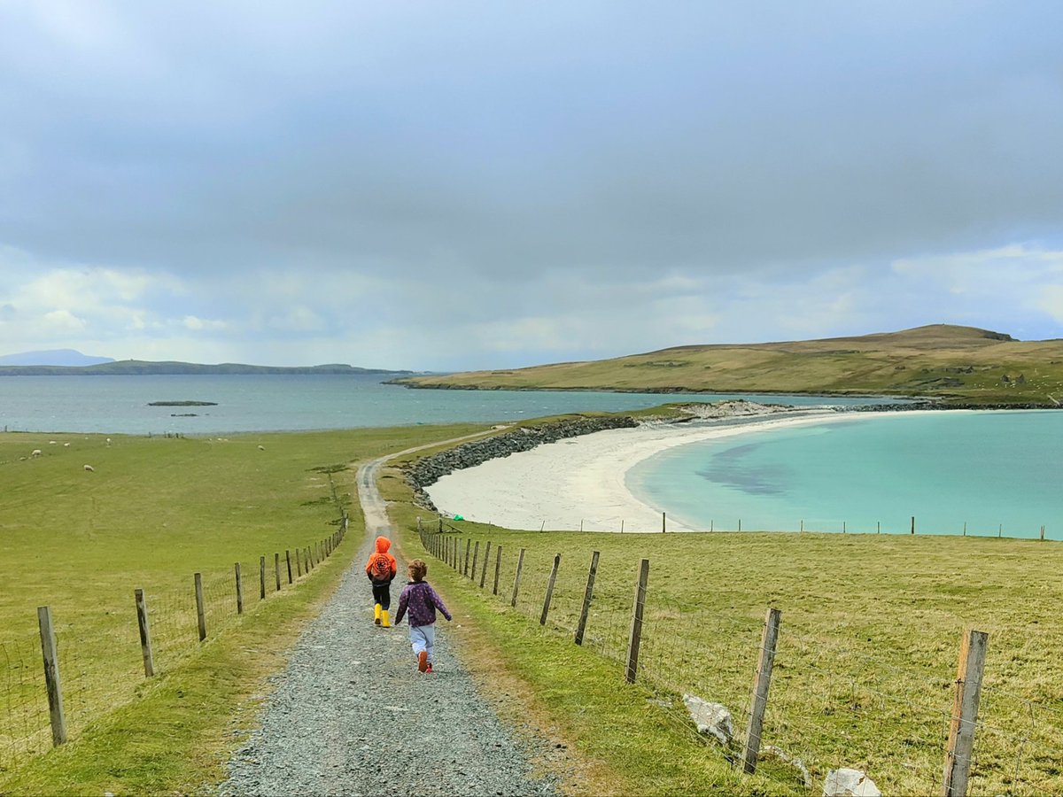 CatherineMMunro's tweet image. Path to the beach #Shetland